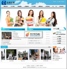 精品教育咨詢(xún)門(mén)戶(hù)解決方案 從源碼到服務(wù)的專(zhuān)業(yè)構(gòu)建