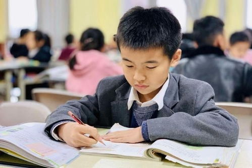 教育改革新戰(zhàn)略即將落地，家長心態(tài)需理性調(diào)整